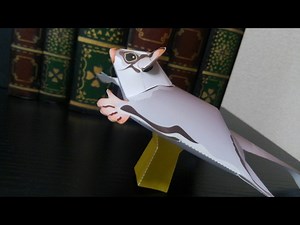 Making Sugar Glider Papercraft Time Lapse
