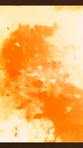 1.5M views · 10K reactions | Should’ve worn my glasses  2024 Solar Eclipse 若 #LifeOfPablo #Alpllc #EclipseSolar2024 #eclipseglasses #Atl #Nyc #Houston | Life Of Pablo | Facebook