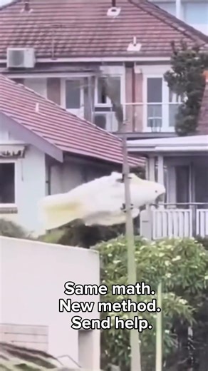 Relearning Algebra as a Mom in 2026 (Why Is It So Different?!) #momhumor #momlife #relatablemom