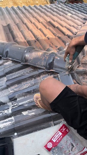 Ok ko ae#xuhuong #máingói #lênxuhướng❤️