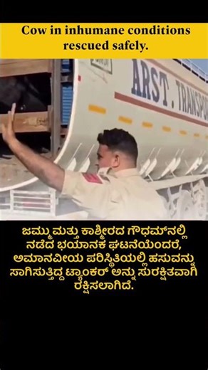 Cow in inhumane conditions rescued safely. #education #kannada #shorts