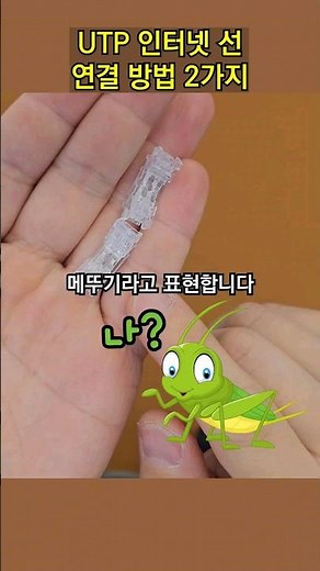 UTP 인터넷 선 연결방법 2가지 소개합니다(랜커플러, 메뚜기)