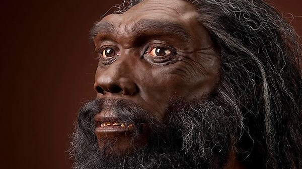 Homo Heidelbergensis - The Forgotten Ancestor of Modern Humans