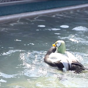 130K views · 1.5K reactions | Turn your sound up for something...