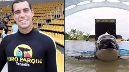 Tragic footage shows trainer performing with SeaWorld killer whale before he was savagely killed by one