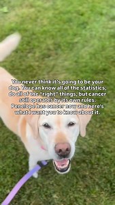 A few weeks ago, Penelope’s breathing sounded… off.⁠ ⁠ We brought her to work, thinking she might have laryngeal paralysis, but her laryngeal exam was normal, so we took chest x-rays, then moved on to a CT scan.⁠ ⁠ The images showed a large mass in her right middle lung lobe and severely enlarged hilar lymph nodes in her chest. Those lymph nodes are compressing her bronchus, causing the noise that sounded off and making it hard for her to breathe at times. It is beyond heartbreaking to watch her