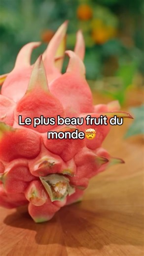 Jour 4 à te cultiver sur nos aliments : le fruit du dragon à chair rouge aka le pitaya