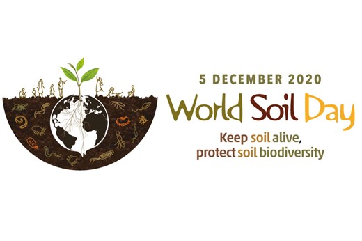 Giornata mondiale del suolo, in Italia un quarto del territorio versa in stato di degrado