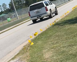 End of week update : Suwannee Riverside Elementary, together with the Will Carpenter AYA Childhood Cancer Foundation, is off to such a great start this first week of raising awareness! Already, 567 flags have been purchased and placed around the schools and downtown businesses—it’s such a powerful sight!💛🙏 A huge thank you to everyone who has donated, picked up a yellow band, or bought a flag to show support. If you’d like to join in, flags and bands are just $1 (for both). You can drop off ca