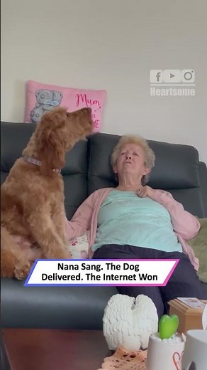 dog singing duet with nana is the cutest concert on the internet|| Heartsome 💖