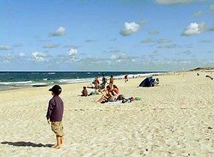 Sylt - A Charming North Sea Island & its Fascinating Mudflats