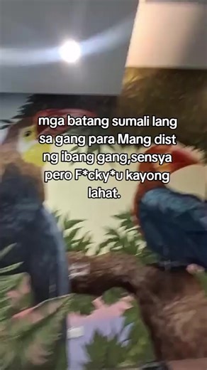 Understanding Gang Involvement Among Youth