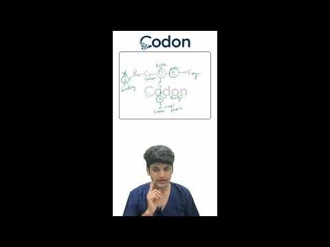 Biology Mnemonics for RENEET 2026 | Dr Yogesh Desarda #neetug2026 #codon