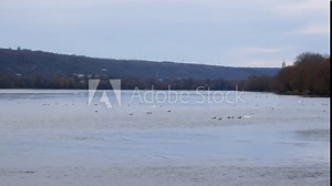 Border Ukraine - Moldova. Checkpoint Yampil - Koseuts. Ferry crossing on the Dniester river.