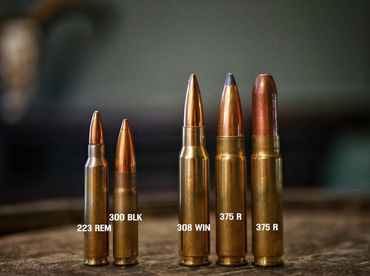 Meet the 375 Raptor: a Heavy-Hitting, Short Action Cartridge - The Truth About Guns