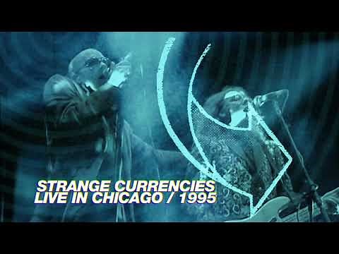R.E.M. - Strange Currencies (Live in Chicago / 1995 Monster Tour)
