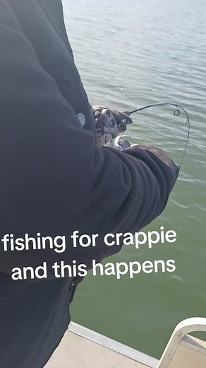 Monster Fish Caught by Captain Redbeard - Jason's Fishing Adventure