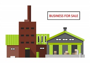 Nine Tips on Successfully Selling Your Business