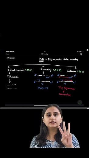 Polymerase Chain Reaction | Biotechnology - Principles and Processes | Class 12 #biology #neet