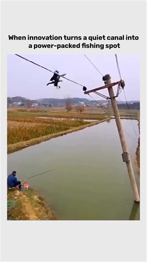 unknown post on Instagram: "This 10-second clip captures an incredible moment of human kindness and wildlife rescue during a freezing winter. It shows a majestic eagle that was completely trapped, with its feathers frozen solid to a cold metal railing. With a gentle touch and careful precision, someone helps break the ice away, allowing the bird to finally break free and take flight once again. The reason this video is going viral is the emotional payoff of seeing such a powerful creature saved