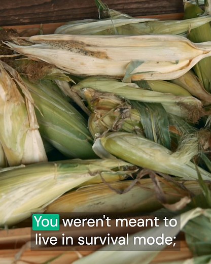 28K views · 368 reactions | Monthly Homesteading Kitchen Magazine &...