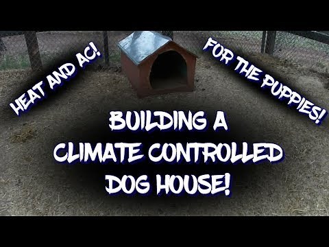 Building a climate controlled dog house
