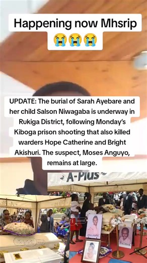 SENSOR MEDIA TV (@sensor.media.tv)’s videos with original sound - Prophet Matayo (L4T)