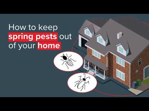 Springtime bugs in the house? How to pestproof for springtime bugs