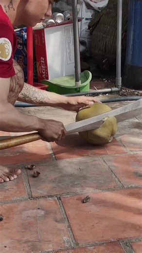 Chặt Dừa Miền Tây: Xu Hướng Mới Nhất