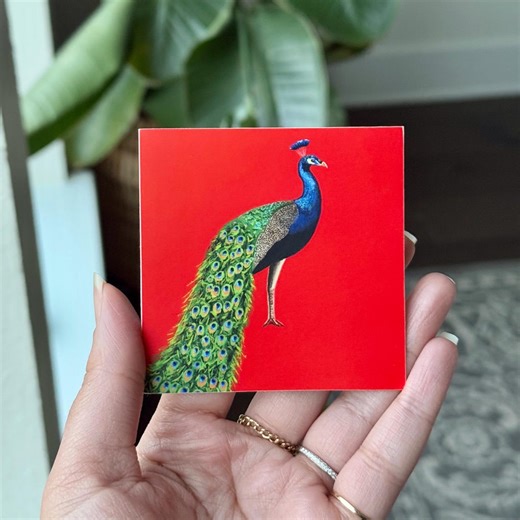 Peacock Square Sticker 3x3 | Colorful Bird | Waterproof Vinyl Sticker | Nature Art Gift - Etsy