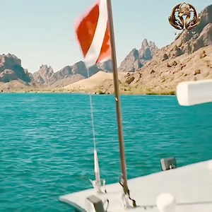 45K views · 707 reactions | best action series on netflix 2025 | د.أمين حسن عمر - الصفحة الرسمية | Facebook