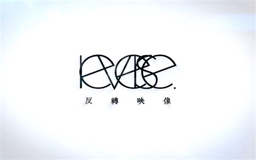 反转映像 Reverselab | 首席设计师案例展示