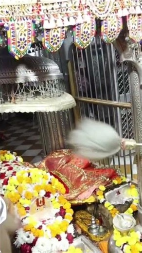 baba ramdev ji today live aarti darshan Ramdevra 🚩#ranujasarkar #ramdevjisong #bhajans #ranuja #rama