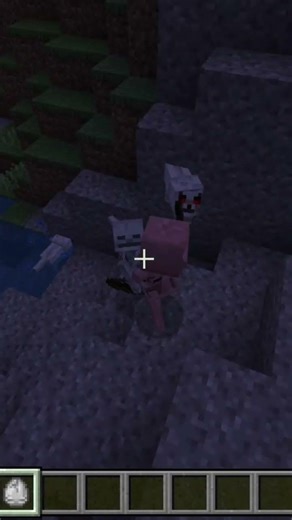 Is This The Mob That Minecraft Wolves Hate The Most?? #minecraft #minecraftshorts #minecraftwolf