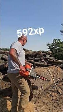 noodling some fairly big logs with the husqvarna 592xp #husqvarna592xp #firewood
