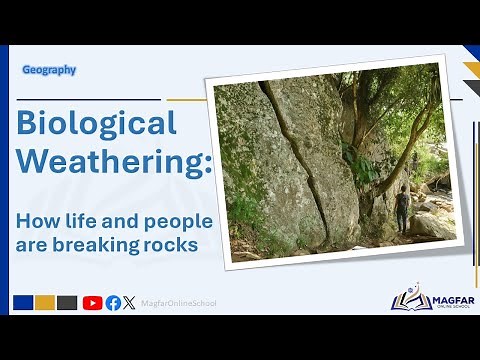 Biological Weathering, How life and people are breaking rocks!
