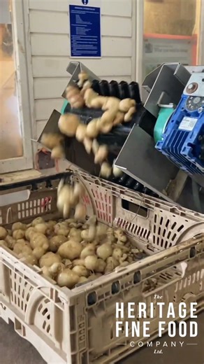 No glossy story, no big claims, just honest produce