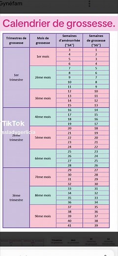 Gerlicia|Doula-Coachaccoucher on TikTok