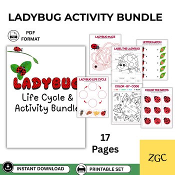 Ladybug Life Cycle Activities | Insect Worksheets for Preschool Kindergarten