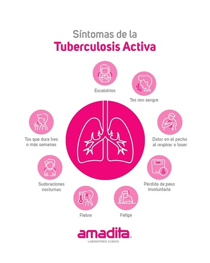 La Tuberculosis (TB) es una infección bacteriana que afecta principalmente los pulmones y se transmite por el aire cuando una persona infectada tose o estornuda. Cuando la bacteria se activa en el cuerpo, se desarrolla la tuberculosis activa, una forma contagiosa que requiere diagnóstico y tratamiento inmediato. En Amadita, contamos con pruebas especializadas para su detección: - Mycobacterium tuberculosis por PCR. - Tuberculosis XDR y Tuberculosis Multirresistente. Si has estado en contacto con
