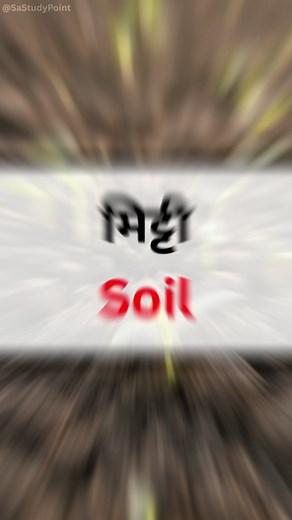 Nature Words in English 🌿 | Learn Common Environmental Vocabulary #LearnEnglish #NatureVocabulary #DailyUseEnglish #EnglishSpeaking #WordMeaning #SpokenEnglish #SmartLearning #SAStudyPoint #EnglishLearning #EasyEnglish | Zsn Study Point