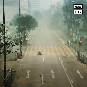 682K views · 5.2K reactions | More than 60 people are dead after the year's strongest tropical cyclone struck the Philippines and China | NowThis | Facebook