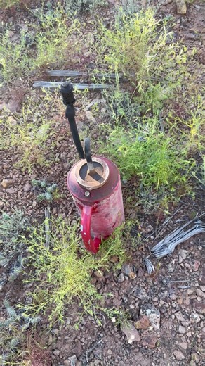 colorado on some hood rat shit…. #wildlandfirefighter #burn #sendit #wildland #Fire #forestry #firefighter #eatash #colorado #smokey #viewsfromthe6 #Headsup