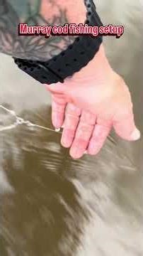 #murraycod #river #fishing #setup #nature