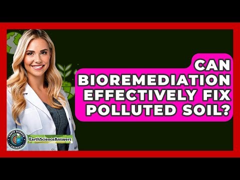 Can Bioremediation Effectively Fix Polluted Soil? - Earth Science Answers