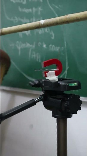 Force on a Current-Carrying Wire in a Magnetic Field🧲 | Class 10 Science Chapter 13 | LP