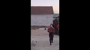 Dog played and startled by firecracker sparks in Liaoning, China