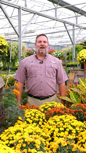 It's time to add fall color to your landscape! LSU AgCenter horticulturist Jason Stagg discusses what to plant this fall! #Plants #Horticulture #LSUAgCenter | LSU AgCenter