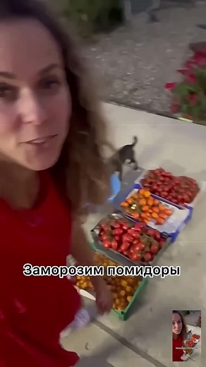 Freeze Tomatoes for Winter Storage