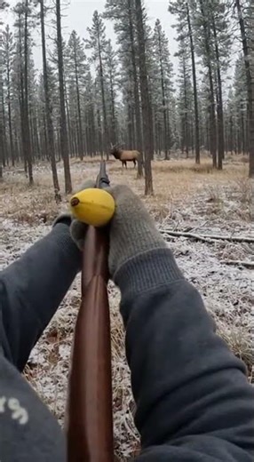 His Rifle Turned Into a Banana